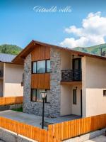 Villa Tetnuldi - B&B Bakuriani