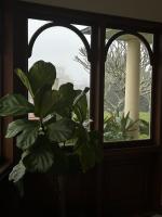 Melville House Bed and Breakfast - Bed and Breakfast Lismore