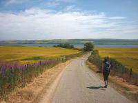 Timshel Bothy - B&B Evanton