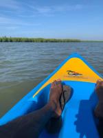 water lily heaven - B&B Tangalle