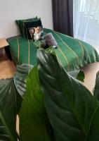 Słoneczny Apartament Poleska - B&B Częstochowa