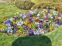 La Meridiana - B&B Cavalcaselle