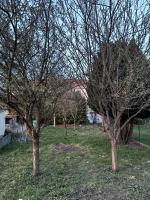 Le cerf au pied des montagnes et des lacs - B&B Fraize