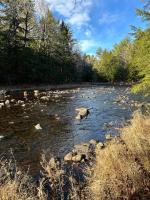 Cozy Every Season Cabin Perfect for Families - B&B South Alexandria