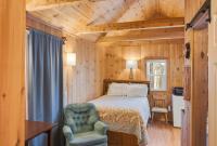 Davis Outpost Pet-Friendly Quiet Cabin w AC Screened Sunroom Walk to Trails - B&B Otter Creek