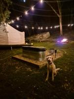 Blue Mountains Glamping Retreat - Bed and Breakfast Ilford