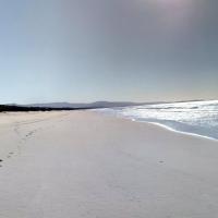 Coast & Country Farmstay - Bed and Breakfast Berry