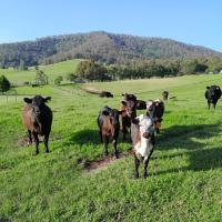 Coast & Country Farmstay - Bed and Breakfast Berry