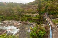 Rice Homestay - B&B Banaue