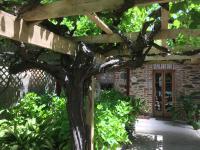 bluebird cottage - B&B Angaston