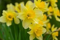 Appartement douillet avec vue sur le lac - Chambres d’hôtes Gérardmer