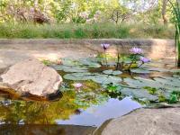 Bundala Resort - Chambres d’hôtes Tissamaharama