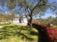 Green view apartment - B&B Koper