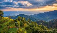 Inn The Mountains - B&B Bhimtal