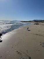 Charming Pet-Friendly Beach Apartment with Private Garden & Pool Access - B&B Sitio de Calahonda