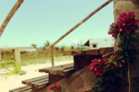 Eco Kite Dunas - B&B