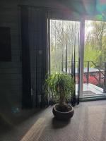StayTommy - B&B Bertem