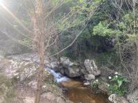 Serenella - B&B Olbia