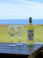 Dog Friendly Oceanfront Home with Hot Tub & Views - B&B Fort Bragg