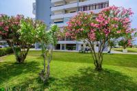 Alvor Sea Front Studio - Walk to Bech - Self Check in - Chambres d'hôtes Alvor