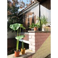 Hongdae Cheese Guesthouse - Bed and Breakfast Seoel