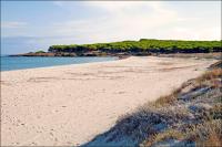 Appartamenti Le Magnolie - B&B Budoni