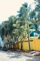 Neon Villa - Bed and Breakfast Pondicherry