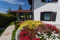 Vila Aleksandra - B&B