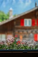 Mountain View near Brienz with Hot Tub & free parking - B&B Kienholz