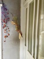 お宿イヌとネコと - B&B Shima