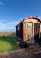 The Black Sheep Shepherd's Hut - B&B Prestrie
