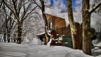 Tesoro Okushiga - B&B Hirao
