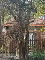 Kruger Afrique Lodge - B&B Marloth Park