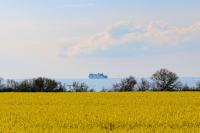 Meerblick - Bed and Breakfast Ostseebad Nienhagen