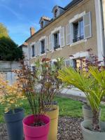 Le Petit Monde de Molly - B&B Toucy