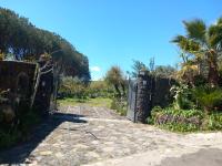 Riccioli Dell' Etna - B&B Piedimonte Etneo