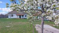 Konyhadűlő Vendégház - B&B Kiskunmajsa