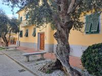 I due ulivi - B&B Marina di Campo