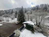 Studio Chalet des Pistes - B&B Gérardmer