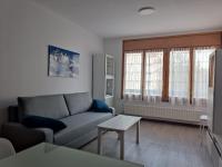 Apartamento Tilero, Parking incluido - Ferienwohnung Jaca