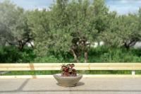 Olive Bliss Retreat - B&B Sitia