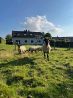 FerienLoft Eifeel Good - Natururlaub in Monschau - B&B Monschau