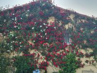 Studio_en_Roussillon - B&B Thuir