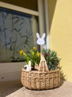 Kleine Auszeit - Raum für Ruhe und neue Energie - Chambres d'hôtes Weidenberg