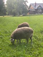 Yubari Forest Farm BandB - Ferienwohnung Yūbari