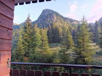 Casina Alpina sugli impianti Passo S Pellegrino - Chambres d'hôtes San Pellegrino