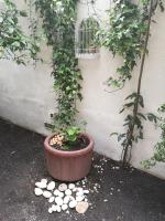 Apartment Issa -1min from the beach,free parking - B&B Split