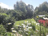 2 Bed in Ilminster oc-56523 - Bed and Breakfast Ilminster