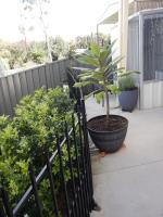 The Honeypot - Bed and Breakfast Balmoral