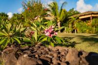 Bungalow con Vista Mare 
